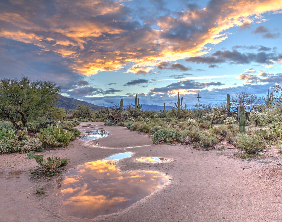 The Best Time to Play Golf in Phoenix: Seasonal Guide