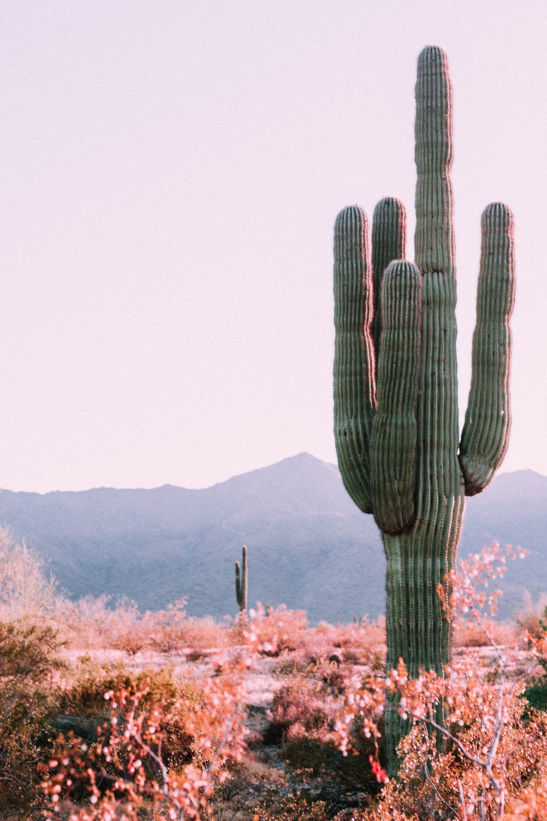 Top 10 Golf Courses in Phoenix: A Golfer's Paradise